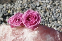 SONY DSC