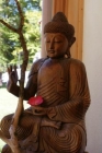 SONY DSC