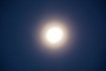 SONY DSC